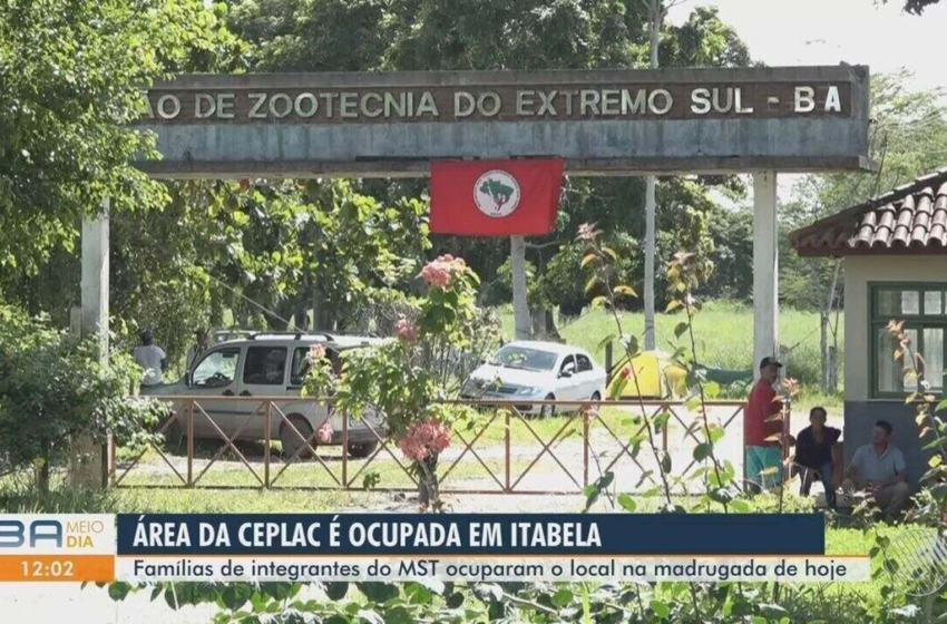  MST ocupa fazenda na Bahia e afirma que área é 'improdutiva'; governo diz que local é destinado a estudos com animais