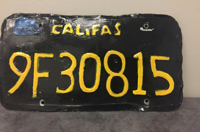  Motorista é preso ao ser flagrado com caminhão com placa falsificada tosca nos EUA