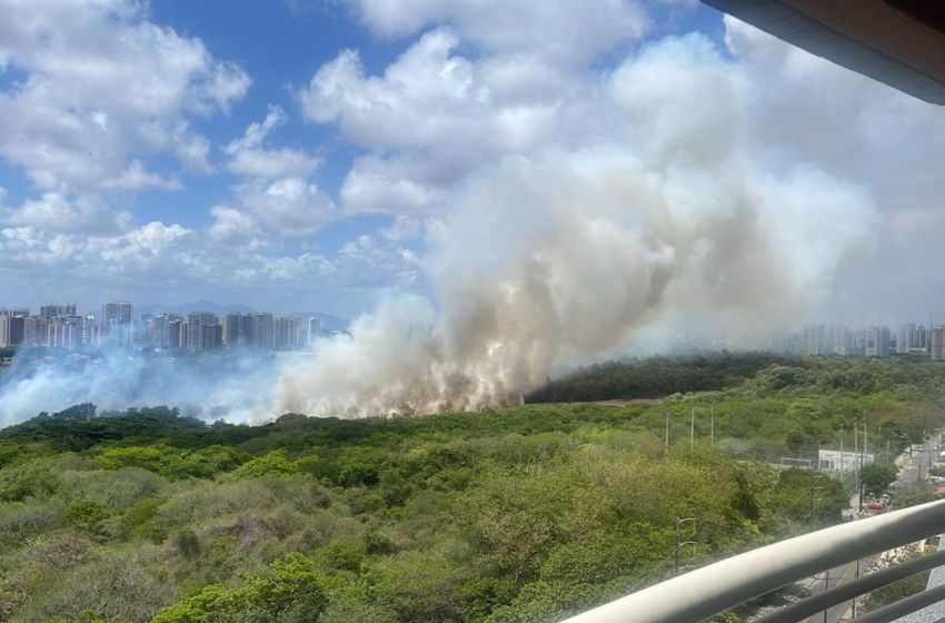  Parque do Cocó vai passar por plano de recuperação após incêndios, em Fortaleza