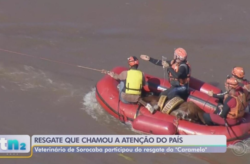  Veterinário de Sorocaba participa de resgate do cavalo Caramelo no RS