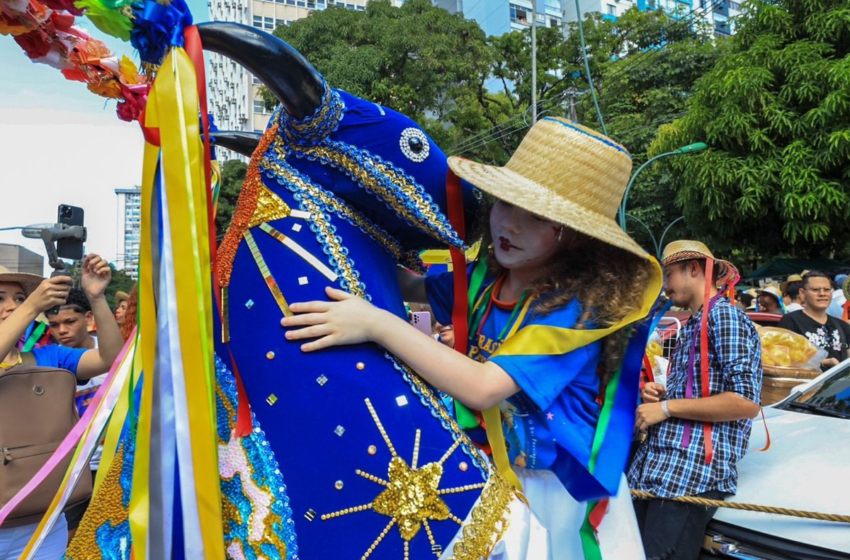  Arraial do Pavulagem inicia oficinas para arrastões em Belém; veja modalidades