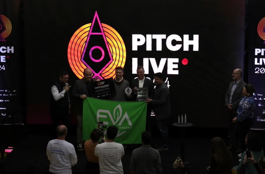  Startups do Rocket são vencedoras do Pitch Live 2024 – Globo