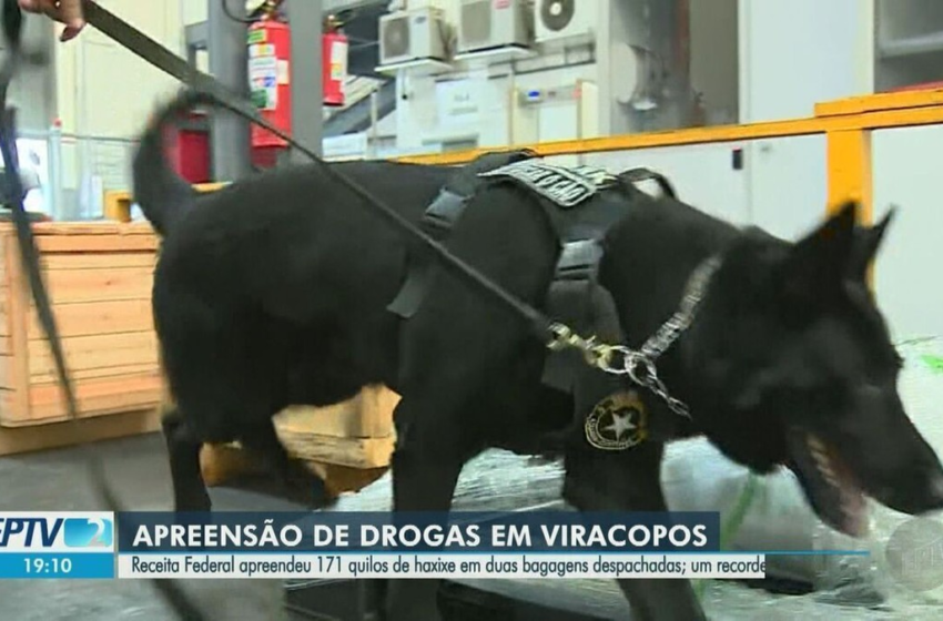  Receita Federal aprende 171 kg de haxixe em cargas oriundas dos EUA em Viracopos; assista flagrante