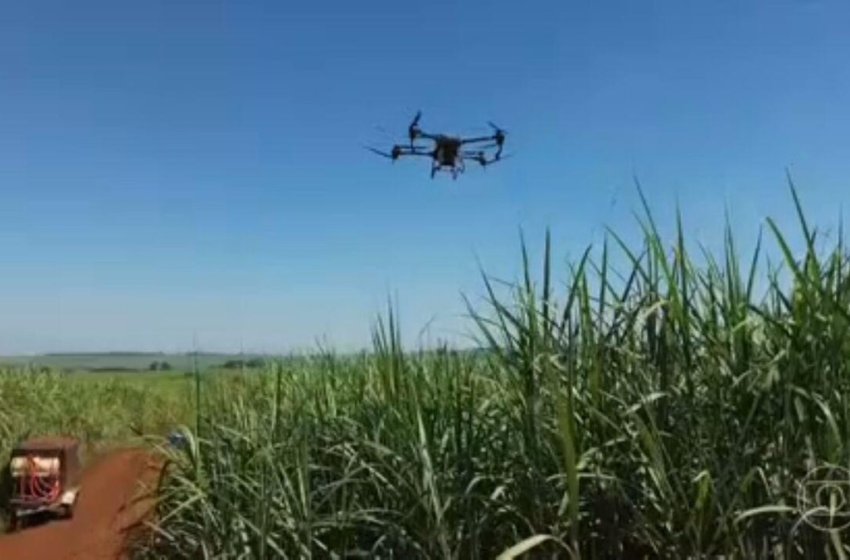  Agrishow, uma das maiores feiras agropecuárias do país, movimentou quase R$ 14 bilhões em 2024