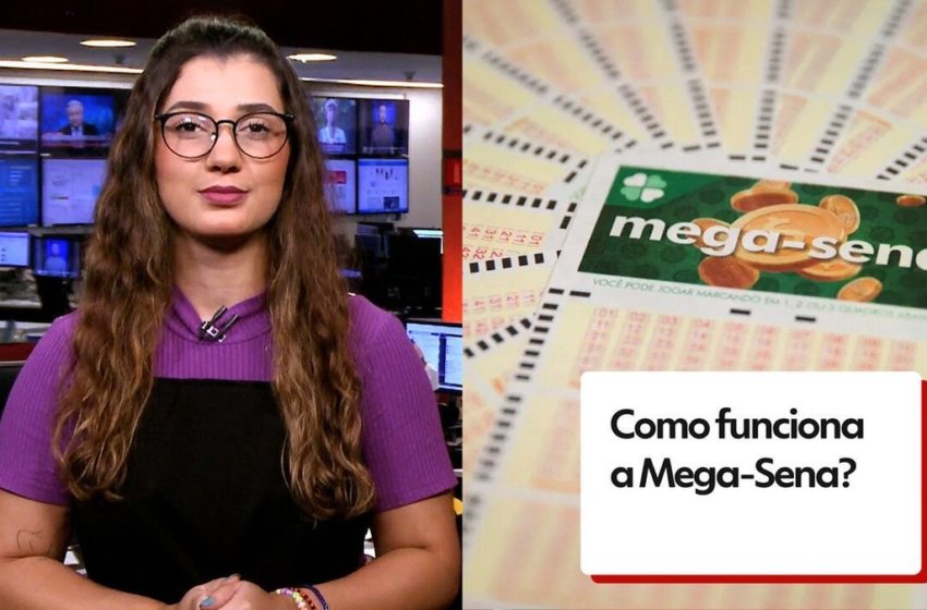  Mega-Sena: Veja detalhes da aposta de Ponta Grossa que levou R$ 114 milhões